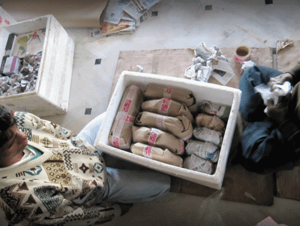 DTDC Packers and Movers