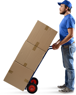 DTDC Packers and Movers